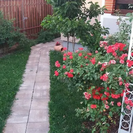 شقة Enjoy تيميشورا