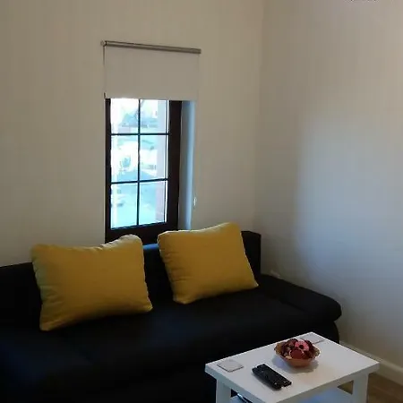 Enjoy Timişoara